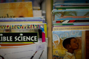 Books in the school library.