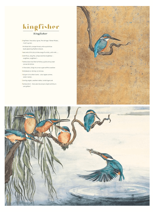 Kingfisher page