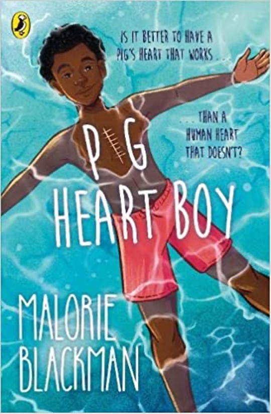 Pig Heart Boy book
