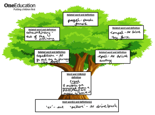 A diagram of a vocab tree, with related words written across the branches.