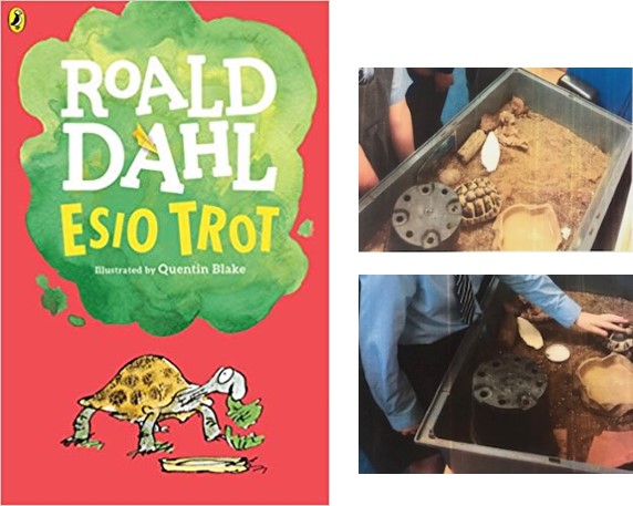 The book Esio Trot, alongside photographs of a tortoise in a sandbox.